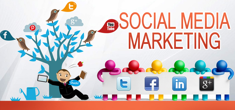 SMO (Social Media Optimization)