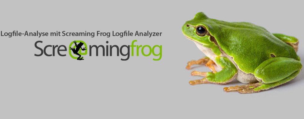 screamingfrog top digital marketing tool 